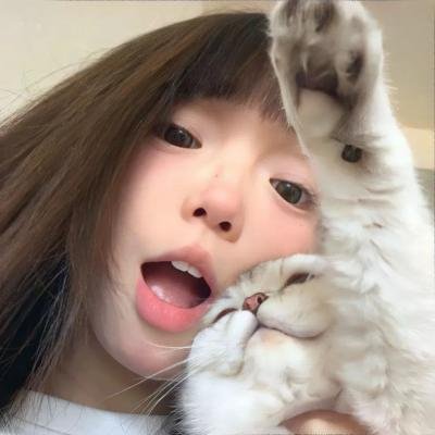 我的法国电影之旅