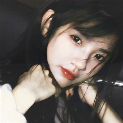 蒂科与鲨鱼